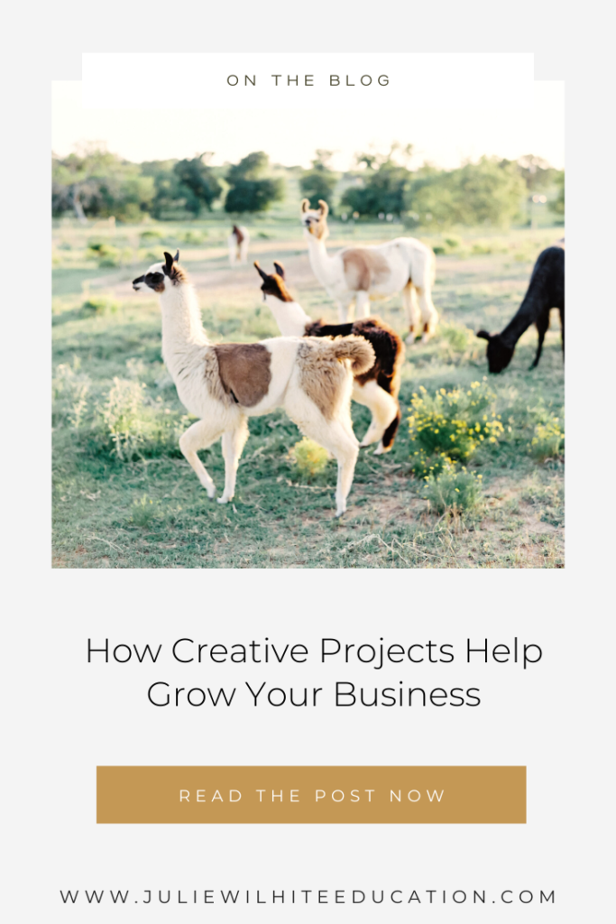 How Creative Projects Help Grow Your Business | Julie Wilhite Education